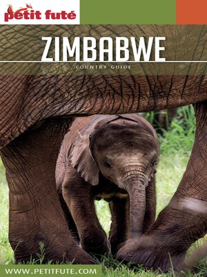 cover image of ZIMBABWE 2016/2017 Petit Futé